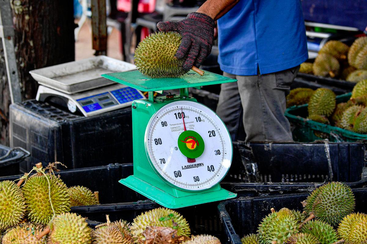 Malaysia exports RM6.37 billion worth of durians to China from 2018 to 2025