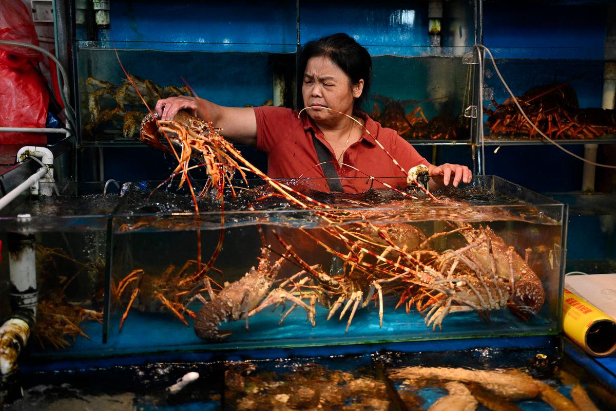 China agrees to begin steps to resume Japanese seafood imports: Tokyo