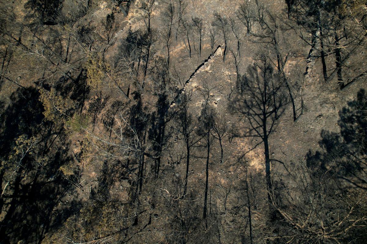 Greece fights Crete wildfire amid Europe heatwave, tourists evacuated