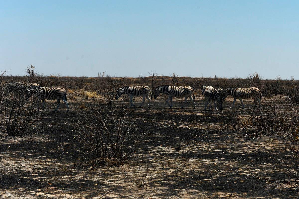Namibia’s Etosha National Park fire declared no longer active