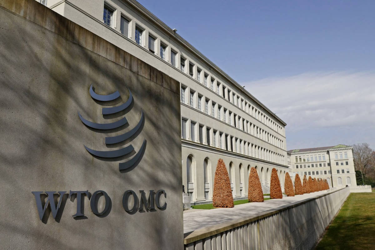 WTO crucial for resolving global trade tensions, says Italian economist
