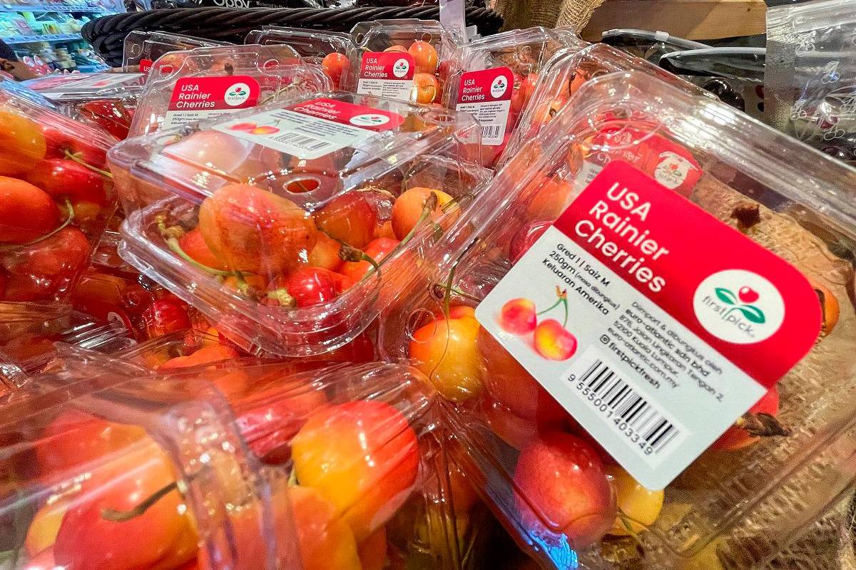 Call to explore potential of temperate fruit farming