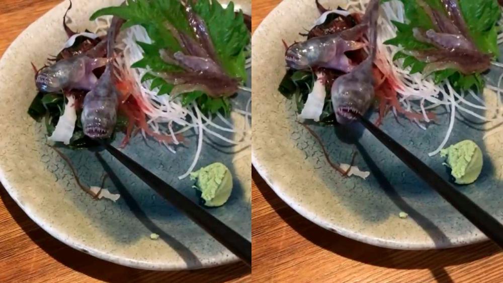 The raw fish bitting a customer’s chopsticks. — Instagram/@rhmsuwaidi