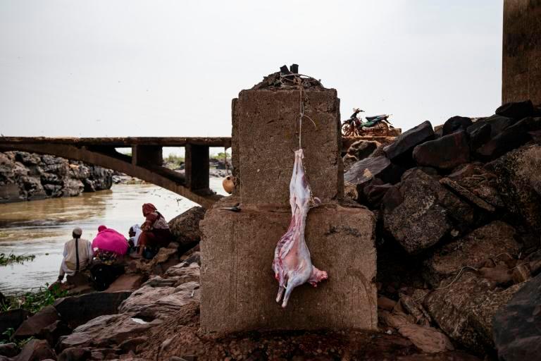 Goats, chickens, sheep and sometimes oxen are slaughtered at the sacred site. — AFP