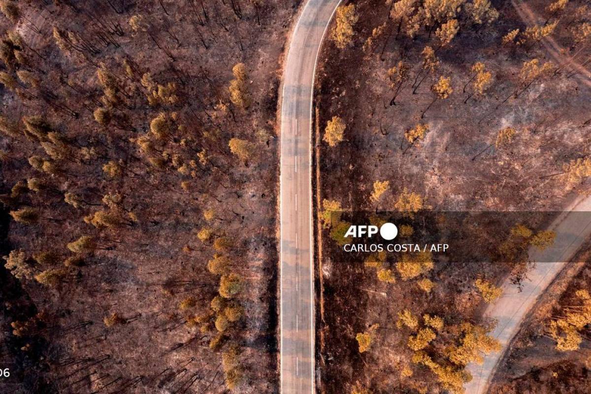 Portugal issues high alert for wildfires amid heatwave