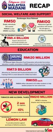 Fiscal boost in RM15.5b savings