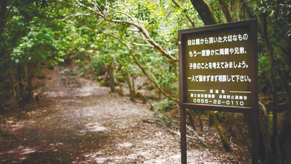 $!Japan’s Aokigahara has a chilling history of people being left to die. – CNN