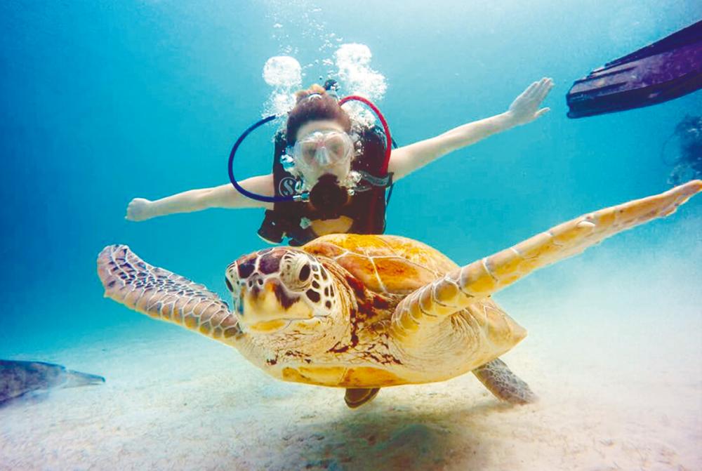 $!Swim with exotic marine life during your Redang getaway. – Berjaya Hotels and Resorts
