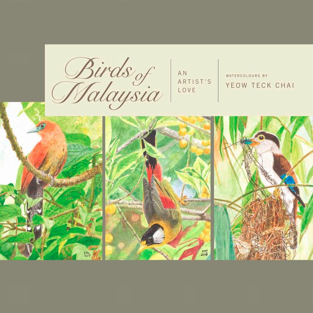 $!Birds of Malaysia. – COURTESY OF YEOW TECK CHAI