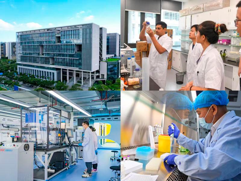 $!Talents from multiple countries are working in a laboratory in Yazhou Bay Science and Technology City in Sanya, China.