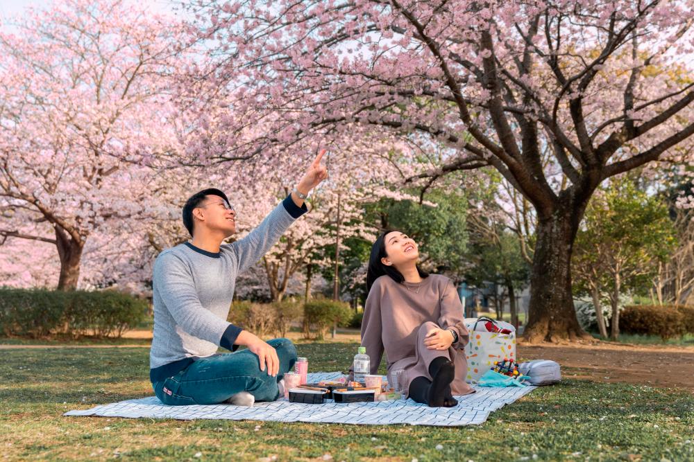 Picnic date is a classic romantic date and its inexpensive. – FREEPIK $!Picnic date is a classic romantic date and its inexpensive. – FREEPIK