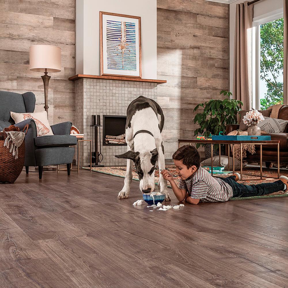 $!Always use pet-friendly flooring, such as hardwood or stain-resistant carpets. – THE HOME DEPOT
