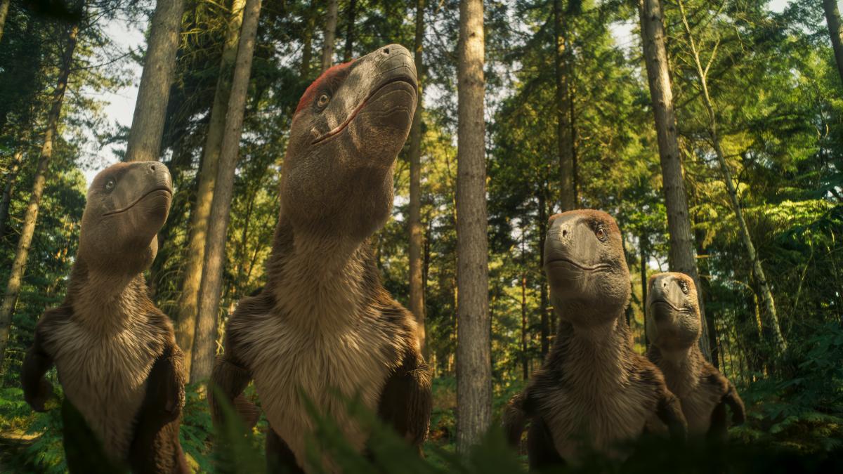 The series depicts certain dinosaurs with fur. $!The series depicts certain dinosaurs with fur.