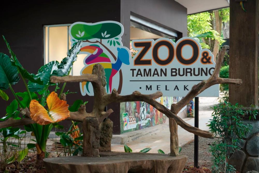 $!Zoo Melaka. – INSTAGRAM/THE_CHILLIZ