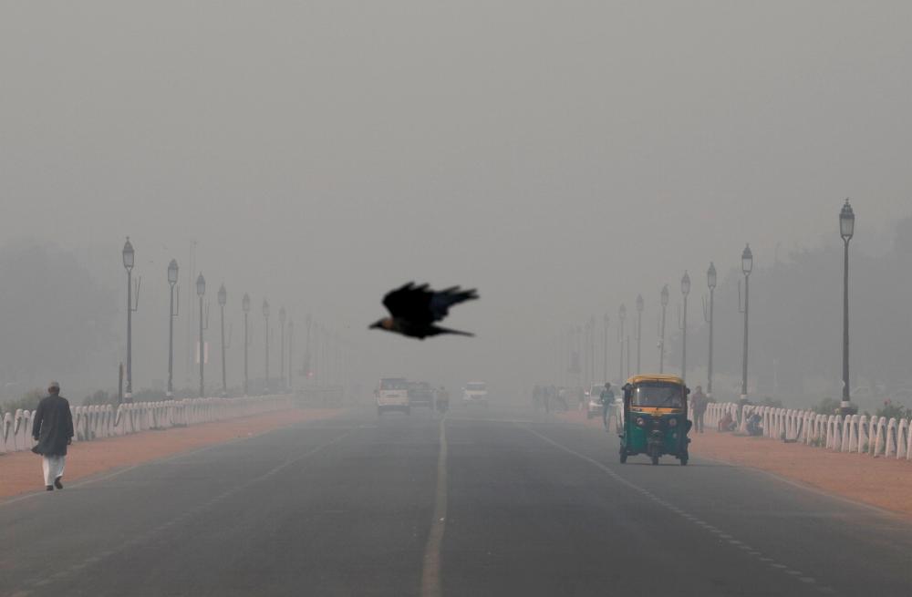 A bird flies amidst smog near India's Presidential Palace in New Delhi, India, Nov 13. — Reuters