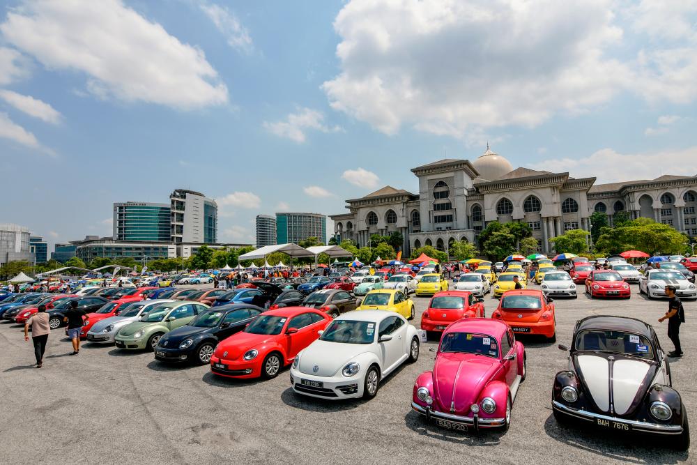Farewell to the Beetle at An Iconic Gathering