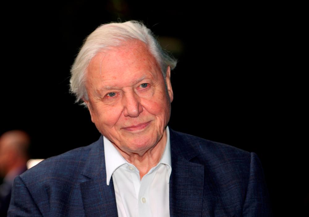 FILE PHOTO: FILE PHOTO: Broadcaster and film maker David Attenborough attends the premiere of Blue Planet II at the British Film Institute in London, Britain, September 27, 2017. REUTERS/Hannah McKay/File Photo/File Photo