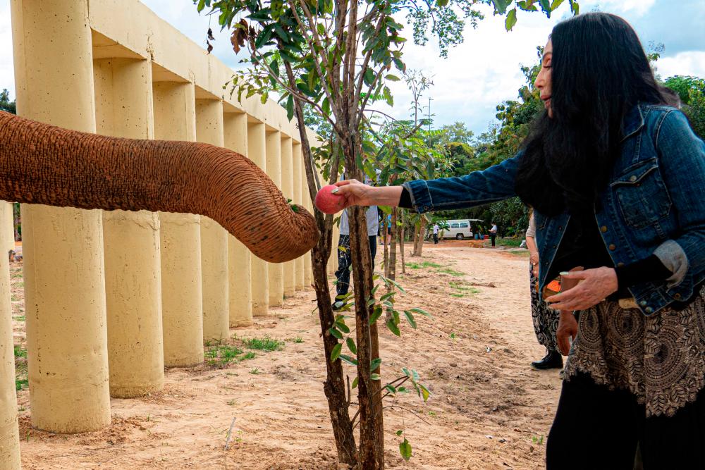 Singer Cher interacts with Kaavan, an elephant transported from Pakistan to Cambodia, at the sanctuary in Oddar Meanchey Province, Cambodia December 2, 2020. REUTERS/Stringer NO RESALES NO ARCHIVES
