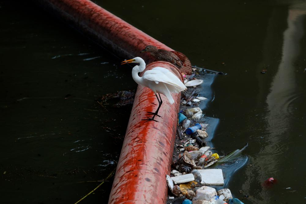 An egret catches a fish near domestic waste and garbage at Pinheiros river in Sao Paulo, Brazil April 20, 2021. Picture taken April 20, 2021. –Reuters