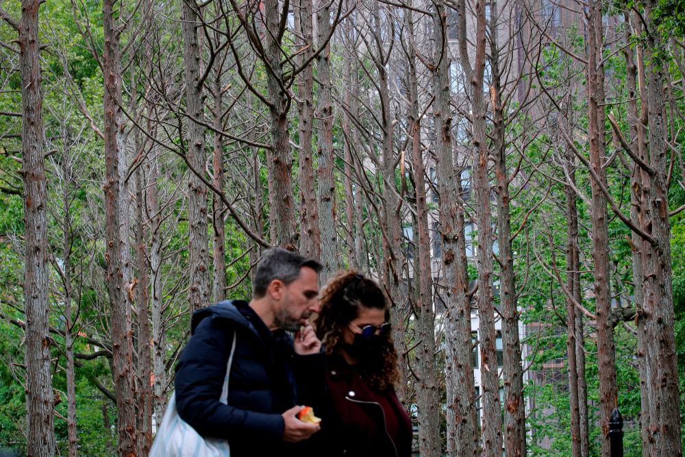 A couple pass by Ghost Forest an art installation designed by artist Maya Lin in Madison Square Park in the Manhattan borough of New York City, New York, U.S., May 10, 2021. –Reuters
