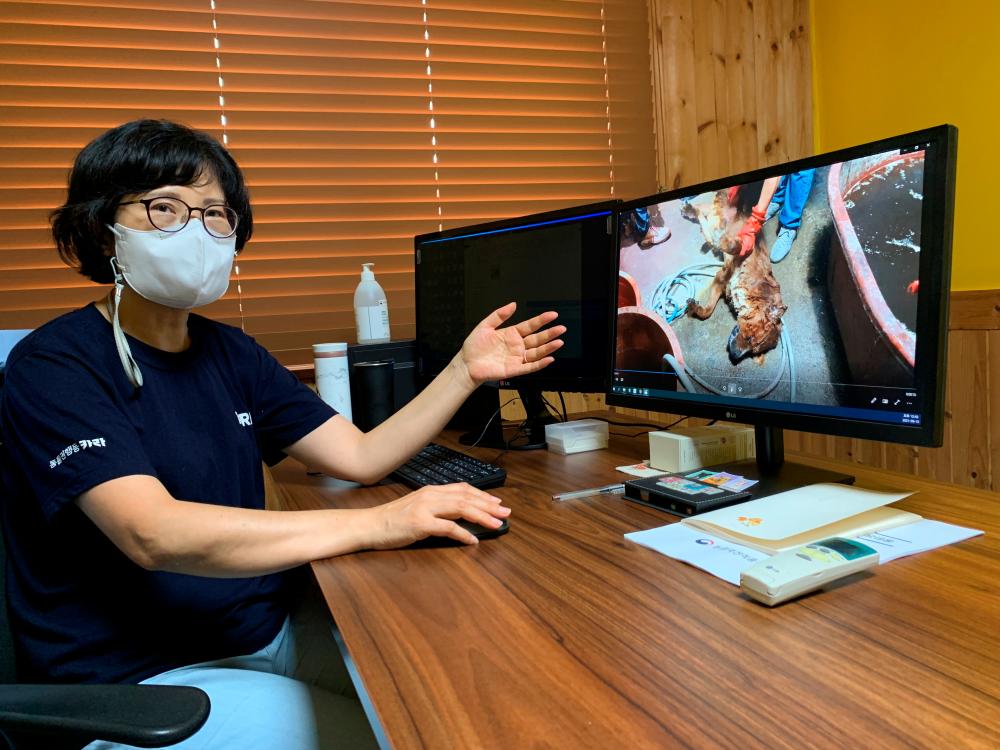 Cheon Chin-kyung, head of the Korea Animal Rights Advocates (KARA), shows a video of a dead dog found at a dog farm in Uijeongbu, in Seoul, South Korea, August 13, 2021. -Reuters