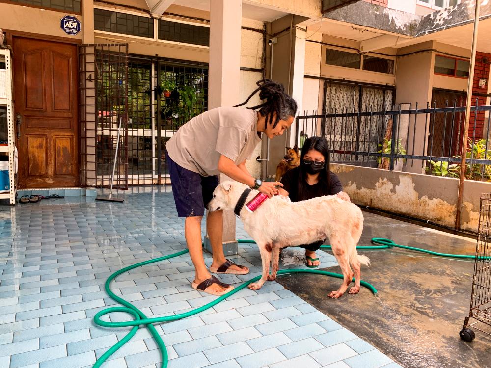 Juanita binti Izzudin and a fellow volunteer bathe a dog at Arausza Animal Shelter as they clean up the place after a flood hit Kajang, Selangor state, Malaysia, December 21, 2021. REUTERSpix
