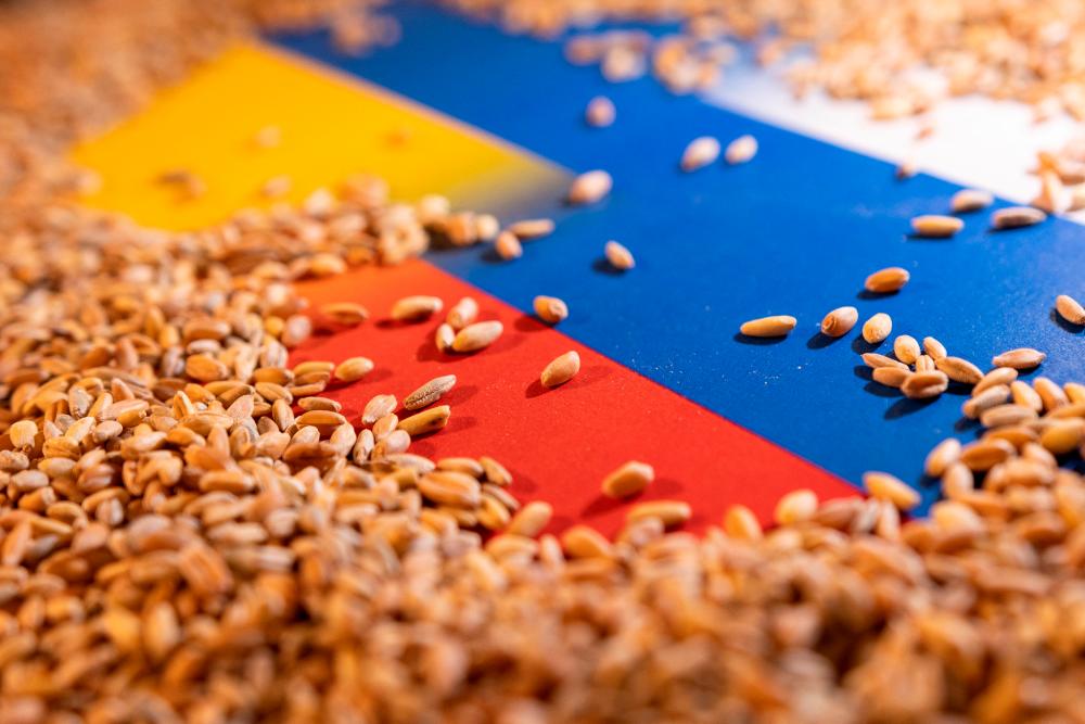 FILE PHOTO: Grain is placed on Ukrainian and Russian flags in this picture illustration taken May 9, 2022. REUTERSPIX