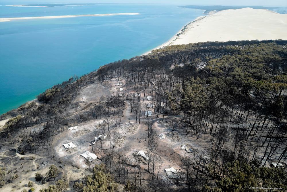 A view shows trees and vegetation burnt by a major fire in La Teste-de-Buch forest near the Dune of Pilat in the Gironde region of southwestern France, in this handout picture taken July 19, 2022 obtained from the fire brigade of the Gironde region (SDIS 33) on July 25, 2022. REUTERSPIX