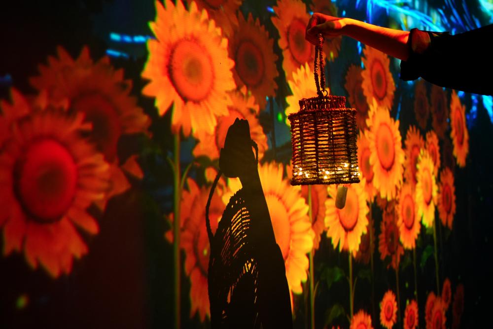Sunflowers react your presence by lighting up and follow your every move. $!Sunflowers react your presence by lighting up and follow your every move.
