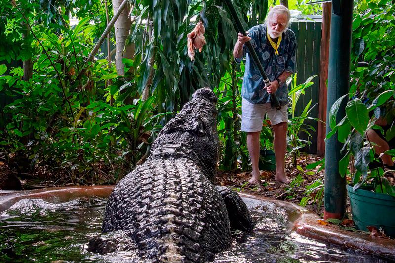 George Craig feeds the world's largest captive crocodile, Cassius at the Marineland Melanesia on Green Island, Great Barrier Reef, Cairns, Australia March 18, 2023. - AAP Image/Brian Cassey via REUTERS