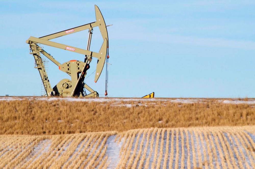 FILEpix: An oil pumpjack operates near Williston, North Dakota January 23, 2015. REUTERS
