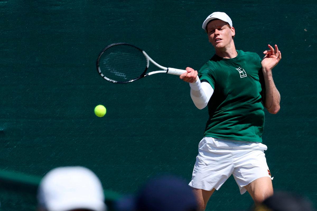 Tennis - Wimbledon - All England Lawn Tennis and Croquet Club, London, Britain - July 12, 2025Italy's Jannik Sinner in action during practice - REUTERSPIX
