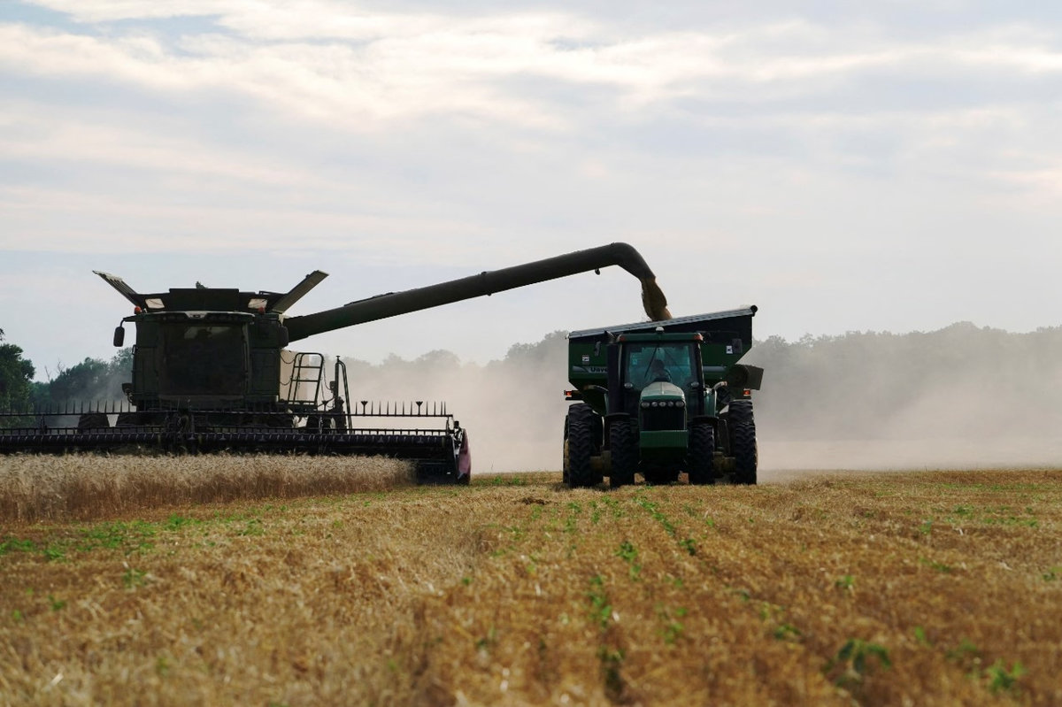Chad Ward harvests winter wheat in a John Deere combine near Skedee, Oklahoma, U.S. June 13, 2024. - REUTERS