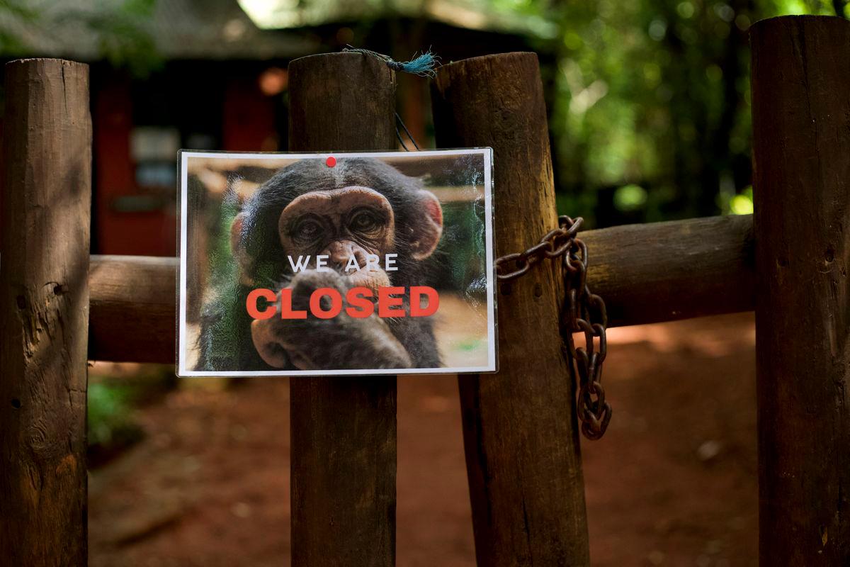 The entrance to Tacugama Chimpanzee Sanctuary, closed to the public, is pictured in Freetown, Sierra Leone June 21, 2025. - REUTERSPIX