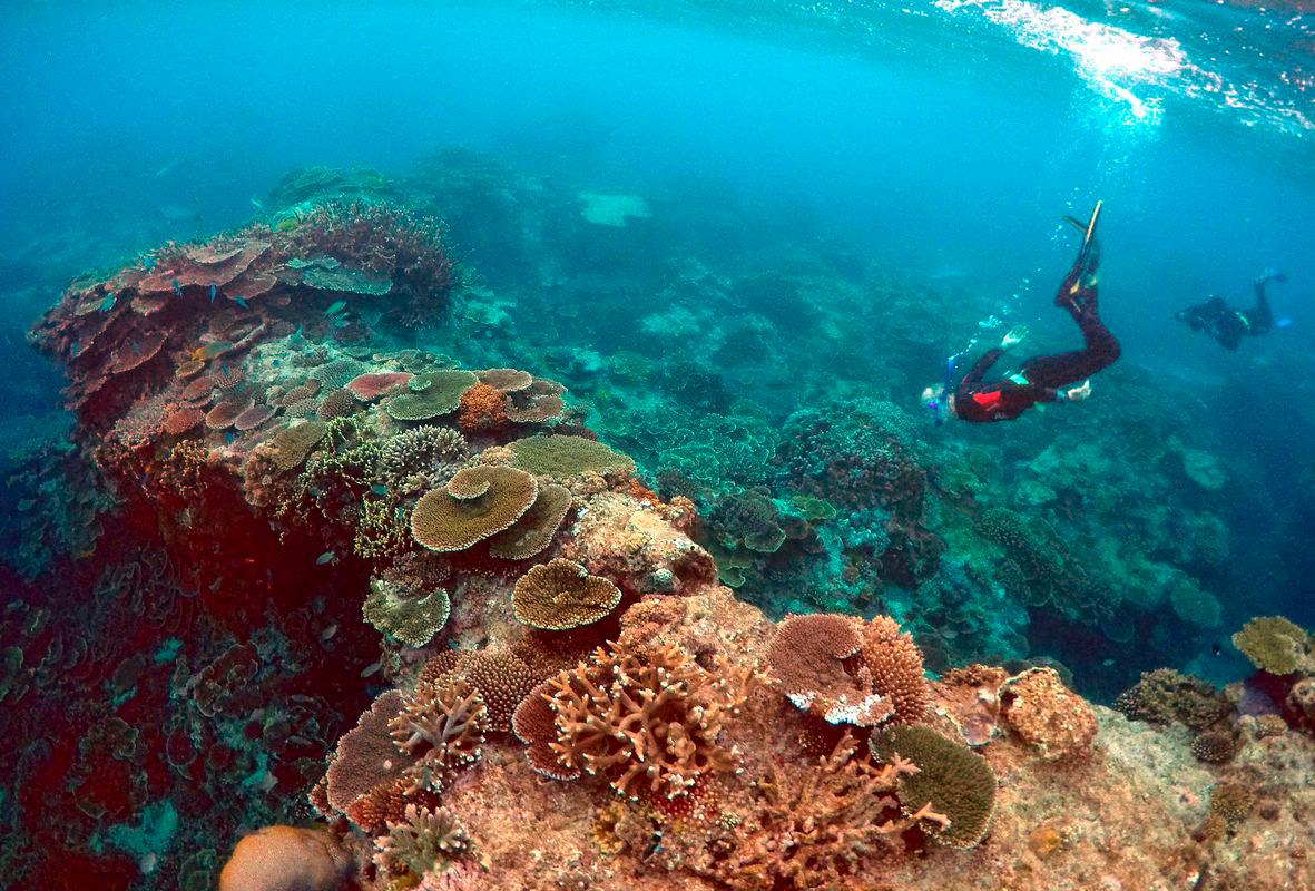Peter Gash, owner and manager of the Lady Elliot Island Eco Resort, snorkels with Oliver Lanyon and Lewis Marshall, Senior Rangers in the Great Barrier Reef region for the Queenlsand Parks and Wildlife Service, during an inspection of the reef’s condition in an area called the ‘Coral Gardens’ located at Lady Elliot Island located north-east from the town of Bundaberg in Queensland, Australia. Reuterspix
