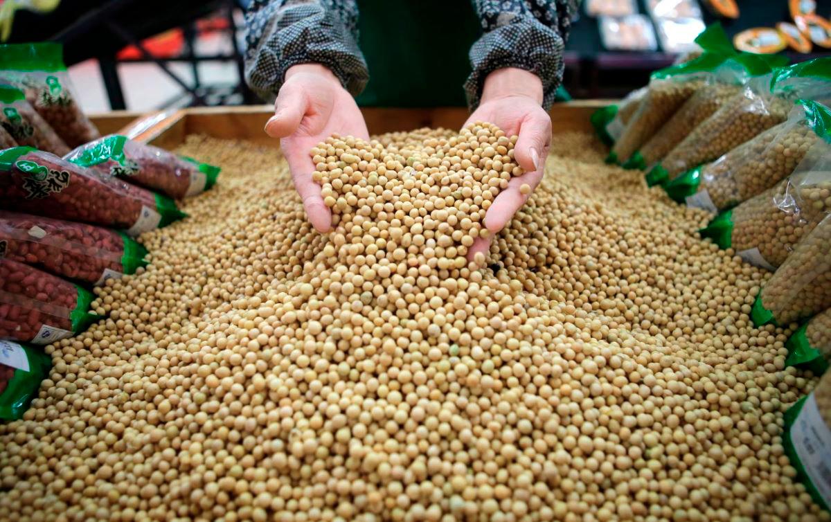 An employee picks out bad beans from a pile of soybeans at a supermarket in Wuhan, Hubei province April 14, 2014. - REUTERS