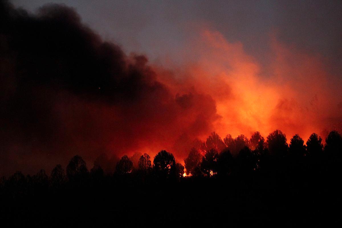 A wildfire burns in the northwestern Canakkale province, Turkey, August 11, 2025. - REUTERSPIX