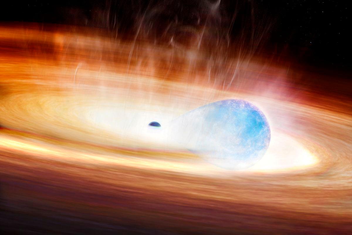 An artist’s conception shows a massive star being stretched by the gravitational forces of a nearby black hole prior to the star’s supernova explosion. Melissa Weiss/Center for Astrophysics | Harvard &amp; Smithsonian (CfA)/Handout via Reuterspix