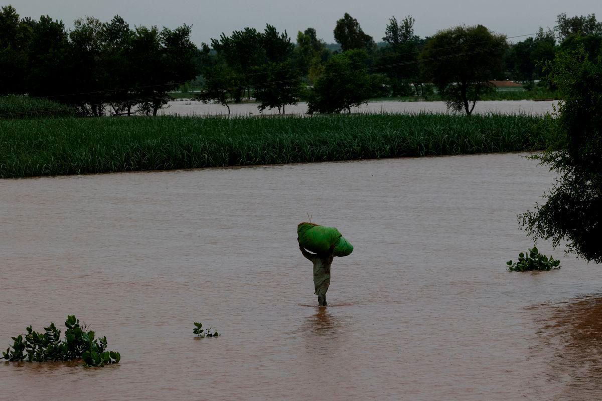 A man carries a sack of fodder on his head as he walks along a flooded road, following monsoon rains and rising water levels of the Chenab River, in Patraki village, Chiniot district, Punjab province, Pakistan, August 30, 2025. REUTERS/Akhtar Soomro
