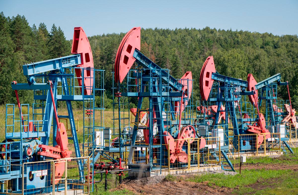 For representational purposes only: FILE PHOTO: A view shows oil pump jacks outside Almetyevsk, in the Republic of Tatarstan, Russia July 14, 2025. REUTERS/Stringer/File Photo