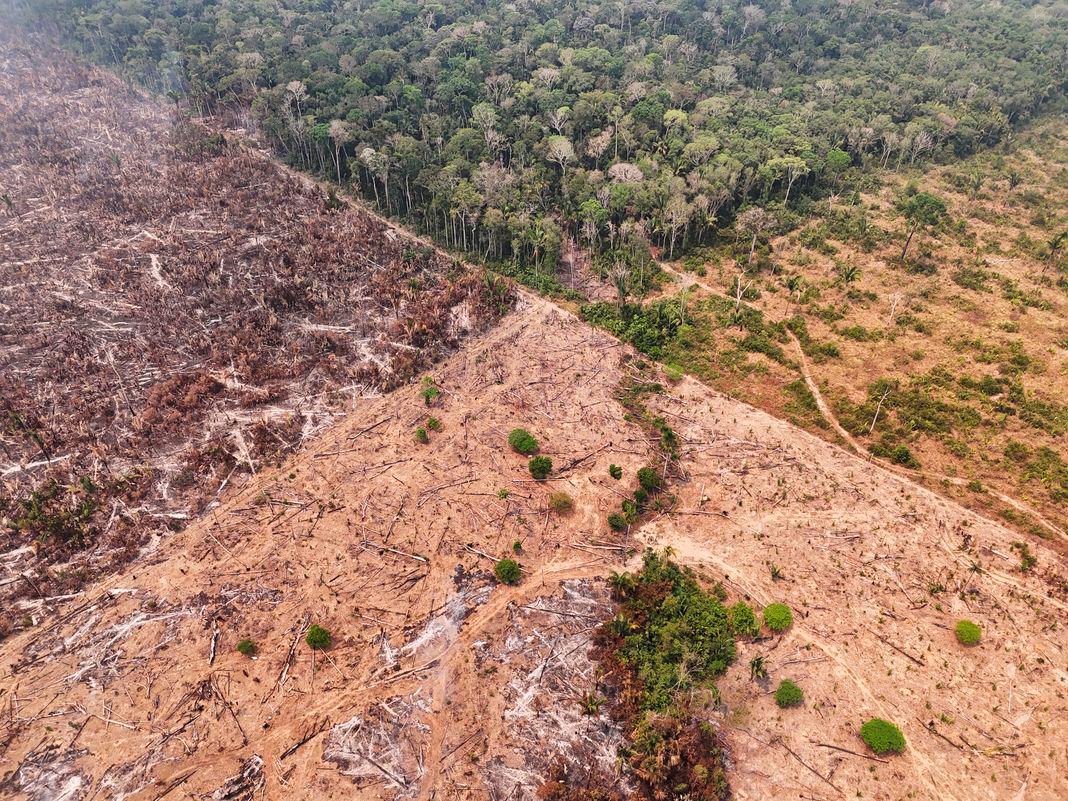 A drone view of a forest fire devastation in the Amazon in an area of the Trans-Amazonian Highway BR230 in Labrea, Amazonas state, Brazil September 4, 2024. - REUTERSPIX