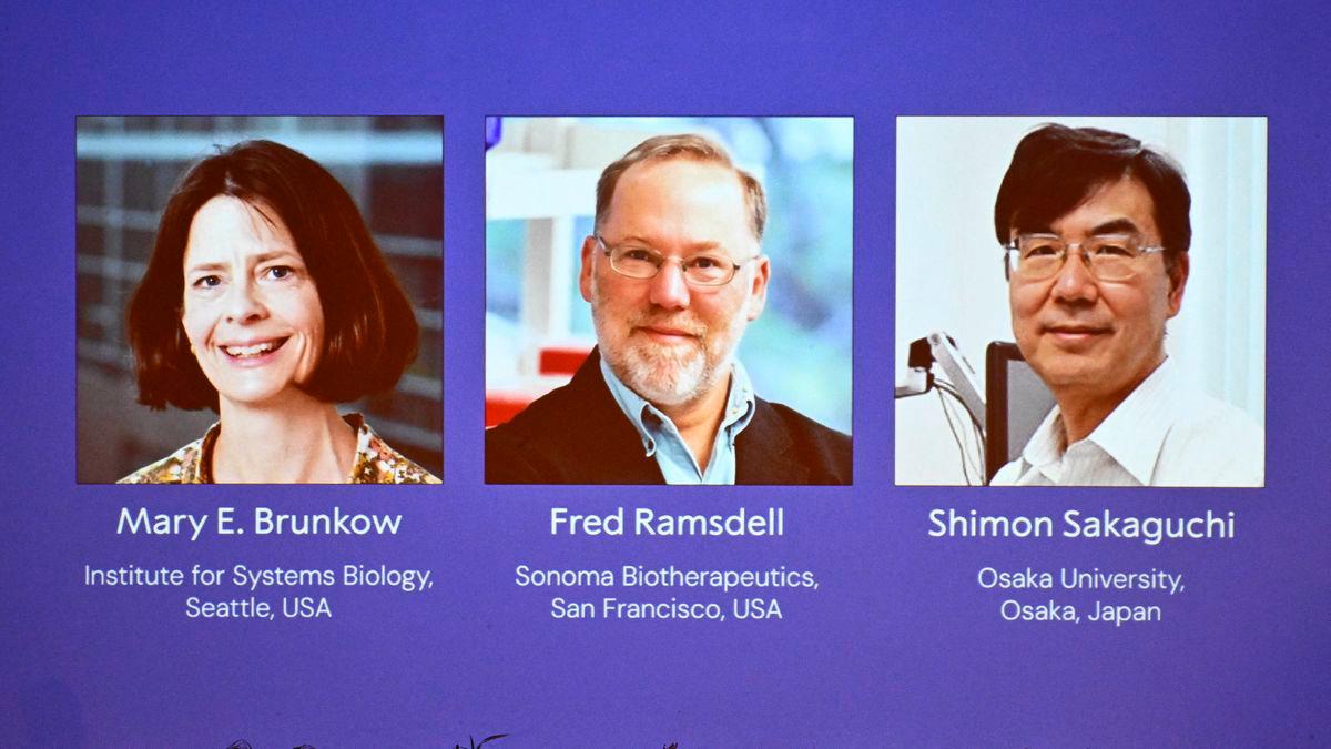 Mary E Brunkow, Fred Ramsdell and Shimon Sakaguchi are awarded this year’s Nobel Prize in Medicine or Physiology at Karolinska Institutet in Stockholm, Sweden, October 6, 2025. TT News Agency/Claudio Bresciani via REUTERS