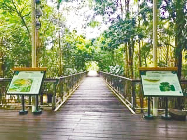 $!The canopy bridge at Putrajaya Botanical Garden. – FACEBOOK