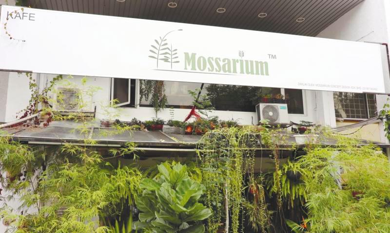 $!The Mossarium.