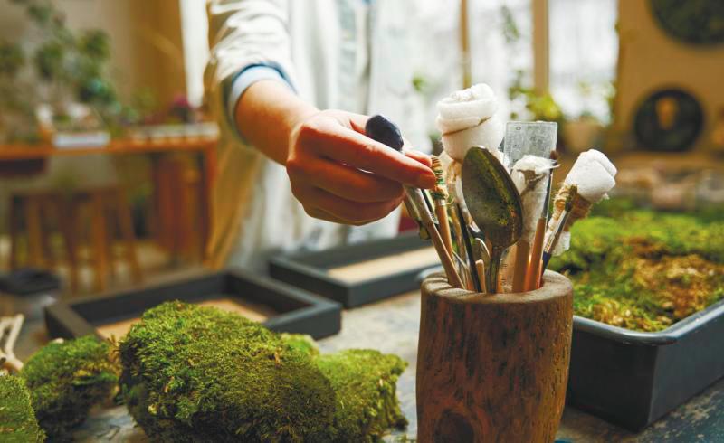 Moss are beautiful and relatively low-maintenance way to bring some beautiful nature into your home. – 123RF $!Moss are beautiful and relatively low-maintenance way to bring some beautiful nature into your home. – 123RF