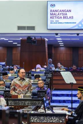 - BERNAMApix
