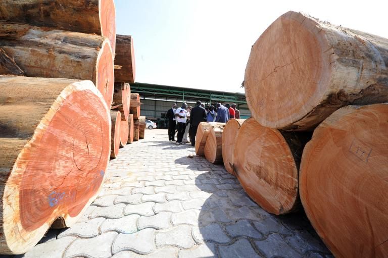 Banned timber at centre of Gabon graft scandal to be auctioned. — AFP