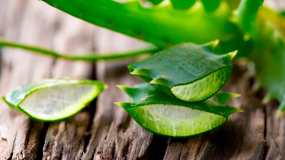 $!Aloe vera gel improve circulation to flush out the fluids and reduce swelling. – SUPERSMART