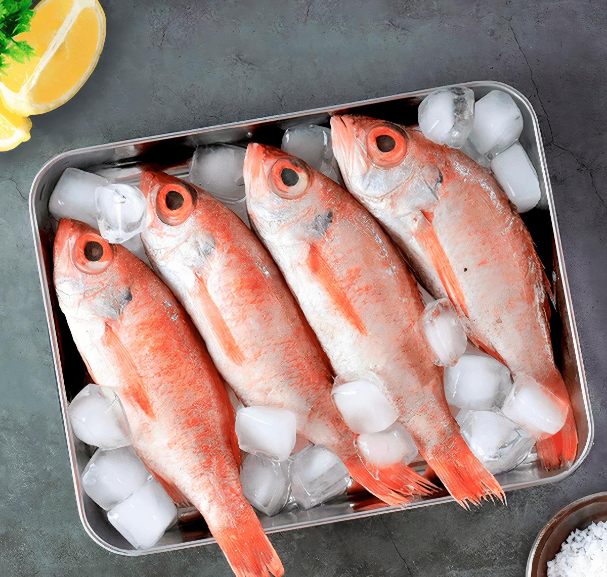 The Blackthroat Seaperch KeumTae is recognised by Michelin-starred restaurants for its exceptionally tender and buttery meat. $!The Blackthroat Seaperch KeumTae is recognised by Michelin-starred restaurants for its exceptionally tender and buttery meat.