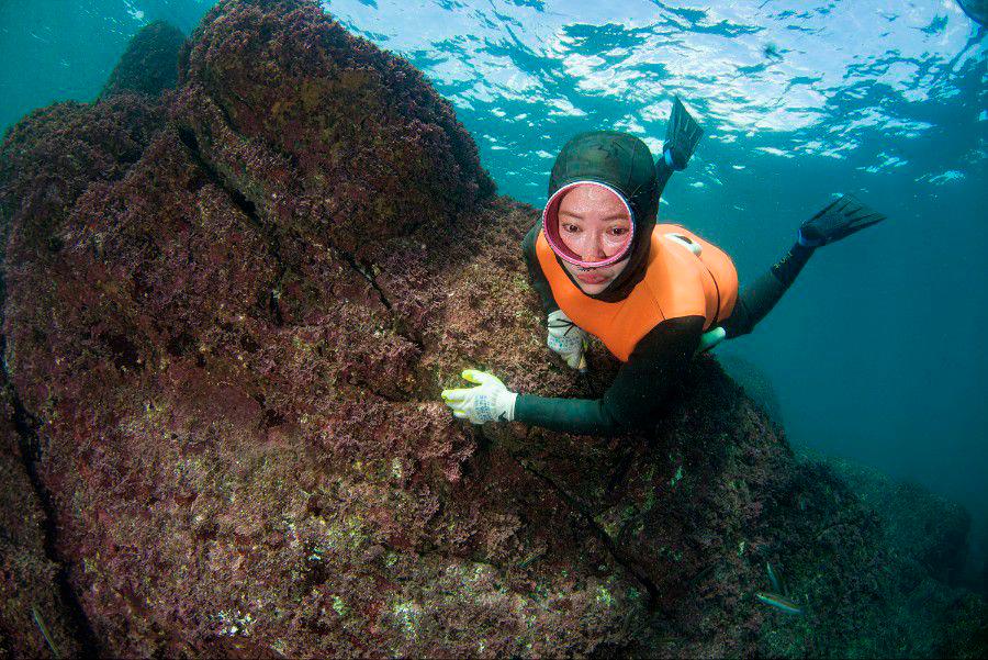 The documentary takes place in Jeju Island. $!The documentary takes place in Jeju Island.